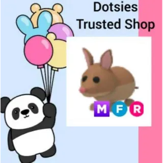 Pet | MFR Bandicoot