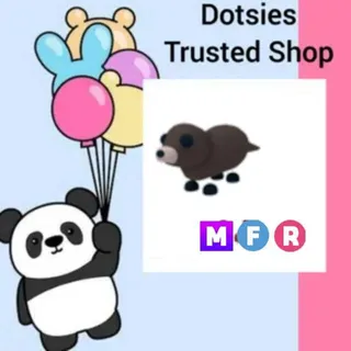 Pet | MFR Otter
