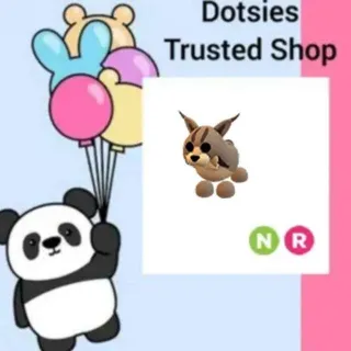 รายการภาพถ่าย