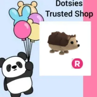 Pet | R Hedgehog