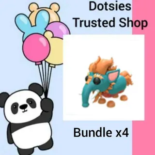 Bundle | X4 Baku