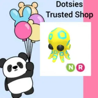 Pet | NR Blue Ringed Octopus