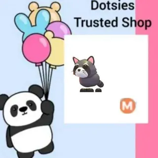 Pet | M Raccoon