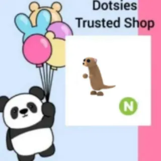 Pet | N Meerkat