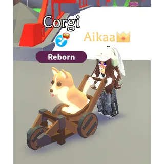 Catapult Stroller