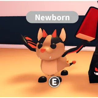 UNTOUCHED NEWBORN BAT DRAGON