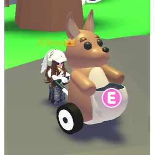 Kangaroo Stroller