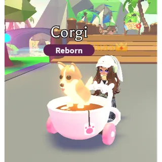 Adopt Me! Teacup stroller
