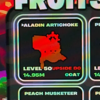 UPSIDE DOWN PALADI LVL50