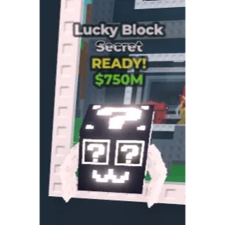1x lucky block secrect