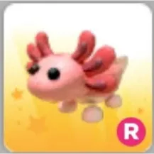 R axolotl