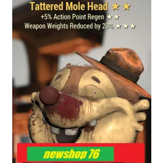 TATTERED MOLE HEAD AP/SENT pc