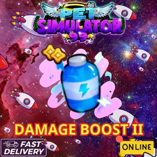 X100 DAMAGE BOOST II