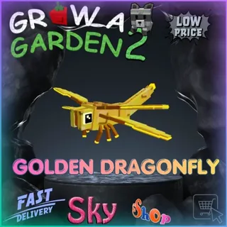 10X GOLDEN DRAGONFLY