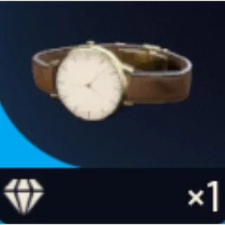 arc raiders: Fine Wristwatch