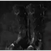  Diablo IV Seasonal Realm ⭐Yen's Blessing --Ancestral Unique Boots