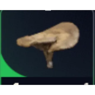 arc raiders  *15 Mushroom