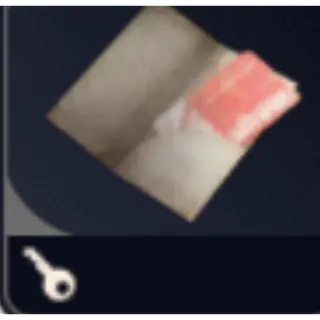arc raiders:  *1 Riven Tides Hotel Keycard NO. 311