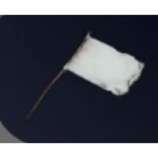 arc raiders:  *10  White Flag