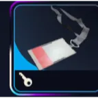 arc raiders  *3 Spaceport Container Storage Key