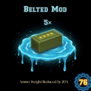 5 Belted Mod