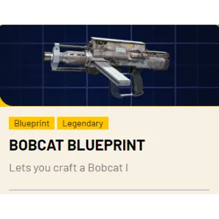 Bobcat Blueprint*1