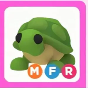MFR | Turtle