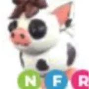 NFR | MINI PIG
