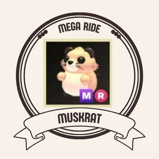MR MUSKRAT