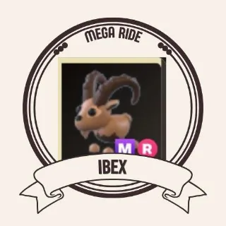 MR IBEX