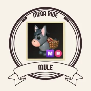 MR MULE