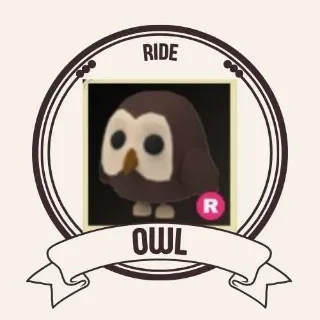 RIDE OWL