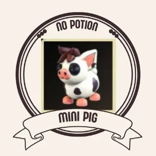 MINI PIG