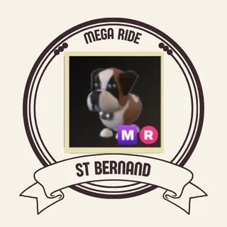 mr st bernand