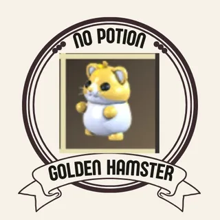 GOLDEN HAMSTER