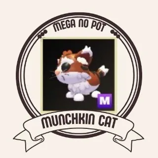 MEGA MUNCHKIN CAT