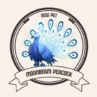 MOONBEAM PEACOCK