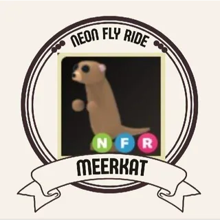 NFR MEERKAT