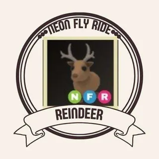 NFR REINDEER