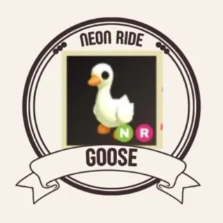 NR GOOSE