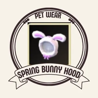 spring bunny hood