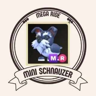MR MINI SCHNAUZER