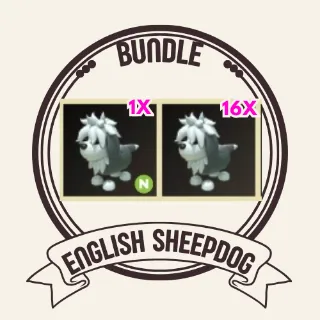 17x English sheepdog