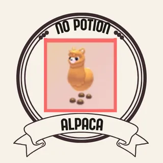 Alpaca
