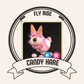 FR CANDY HARE