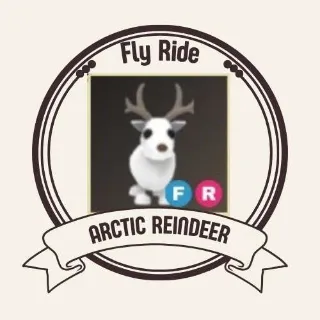 FR Arctic Reindeer