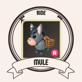 RIDE MULE