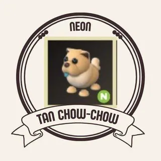 Neon Tan Chow-Chow