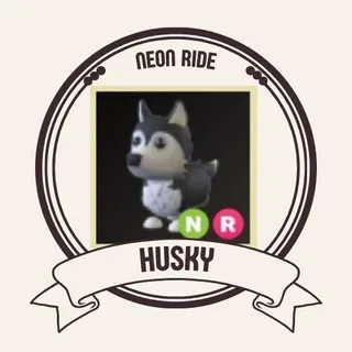 NR HUSKY
