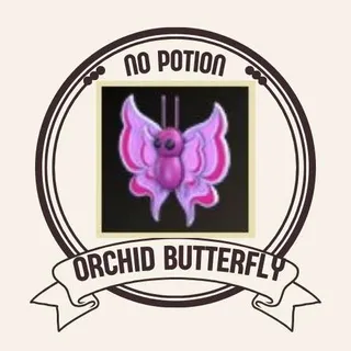 ORCHID BUTTERFLY